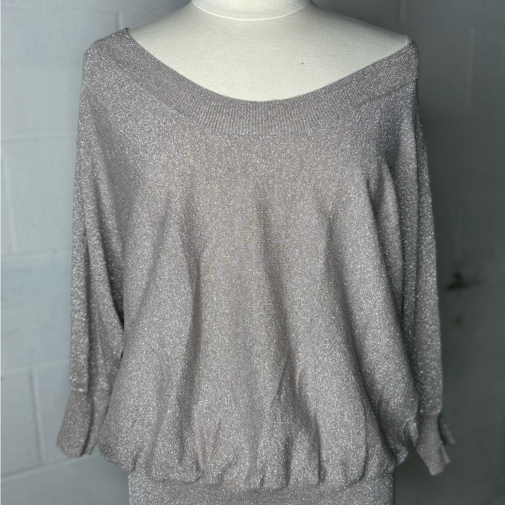 Express Shimmering Off-Shoulder Tunic - Silver
